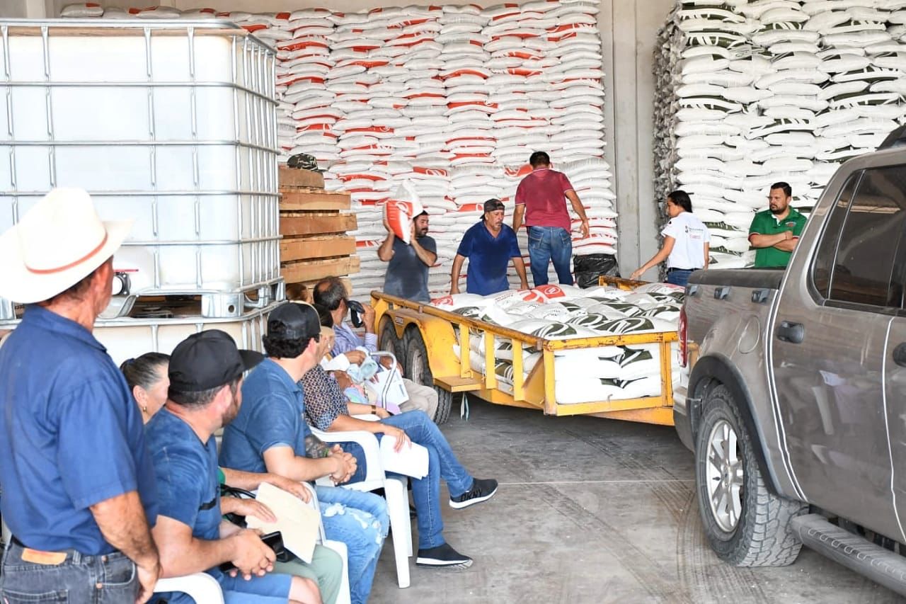 Productores temporaleros de Angostura reciben apoyo en fertilizantes para maíz y frijol