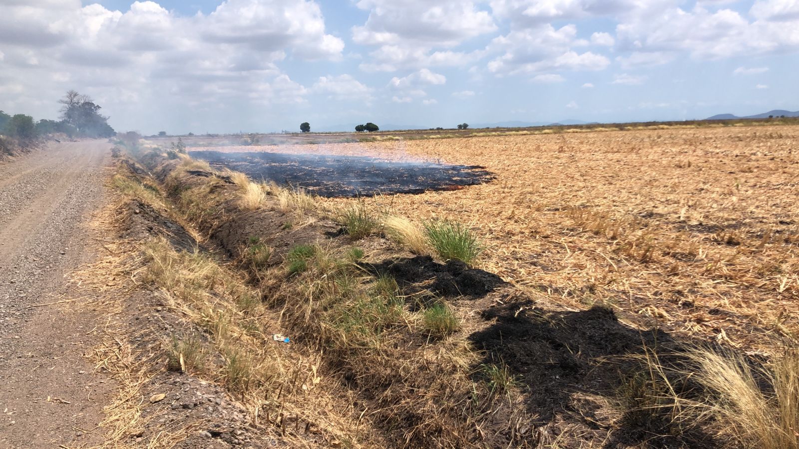 Quema de soca en El Carrizo mantiene en guardia a Ecología de Ahome, pero sin tener nuevas denuncias