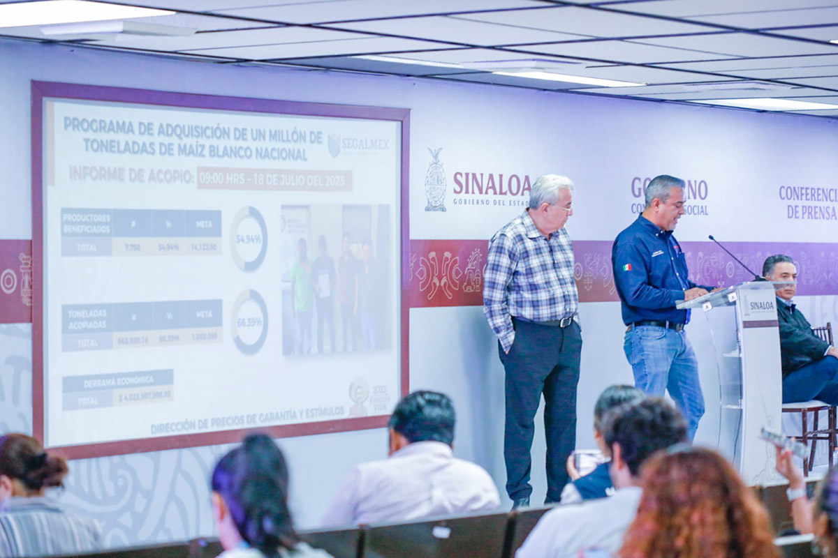 Más de 7 mil productores en Sinaloa han sido atendidos con la adquisición de maíz blanco nacional: Segalmex