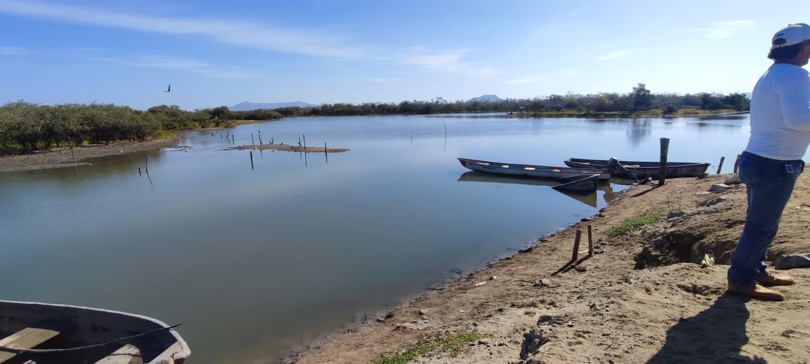 Se suma Ayuntamiento de Mazatlán a pescadores en el cuidado del camarón, les dará para combustible por seis meses