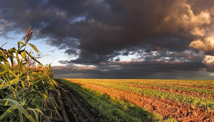Agricultores esperan que un ciclo sin hacer daños se manifieste en Sinaloa y los ayude a resolver la falta de agua
