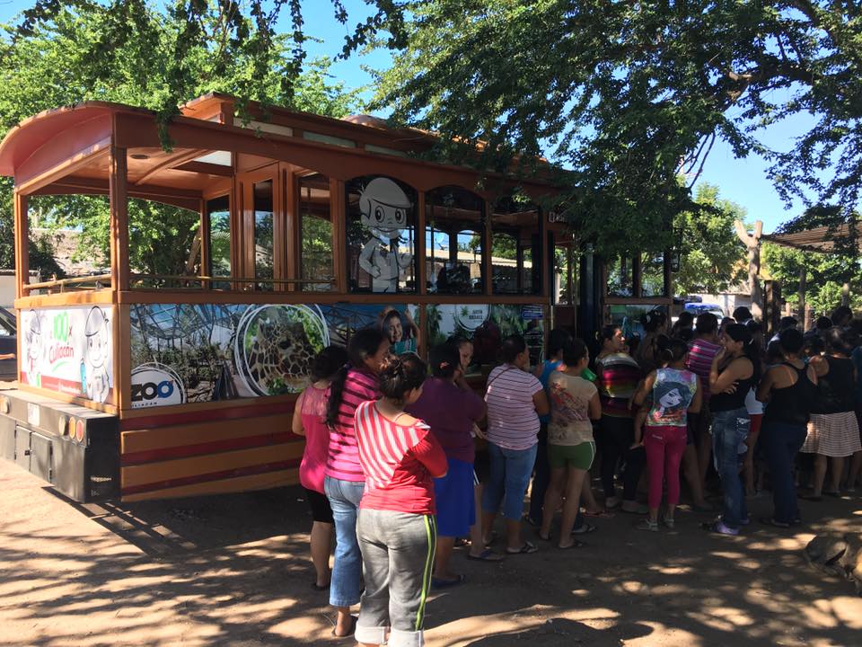 ¡A estrenar! Comprarán un nuevo turibús, totalmente innovador, para recorrer Culiacán