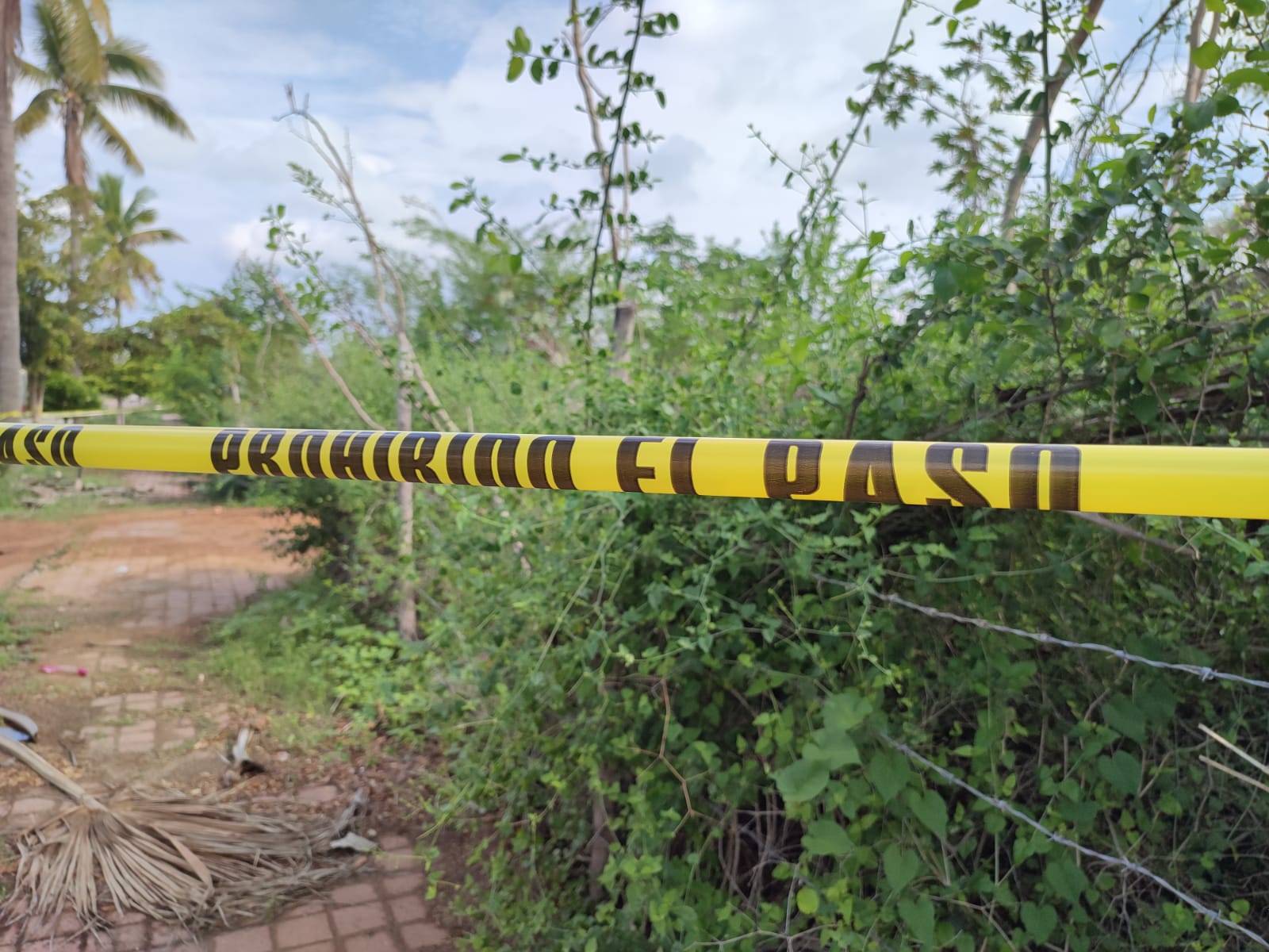 Turista de Chihuahua cae de una torre y muere en un lote baldío de Cerritos, en Mazatlán