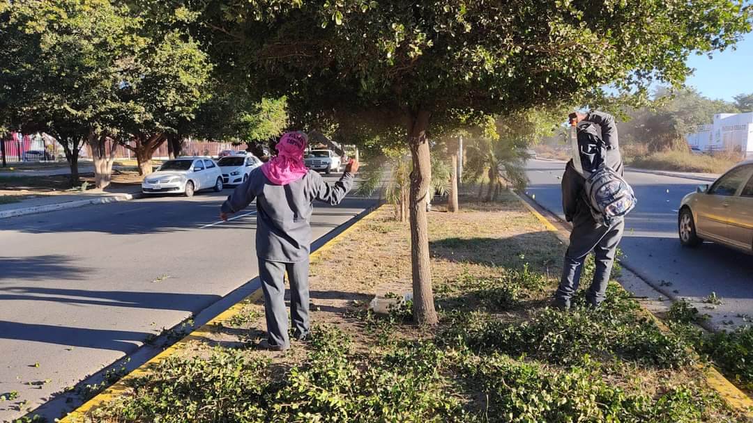 ¡También les ha tocado! Van dos trabajadores de Parques y Jardines descompensados por el calor en Guasave