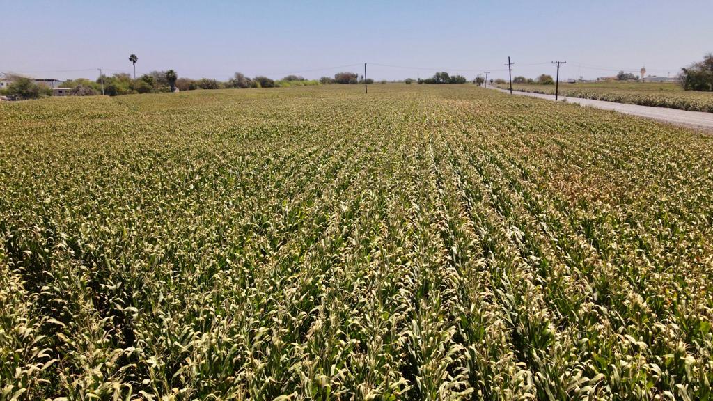 Agricultores fortalecen su esperanza en la Santa María para apostar nuevas oportunidades de siembra