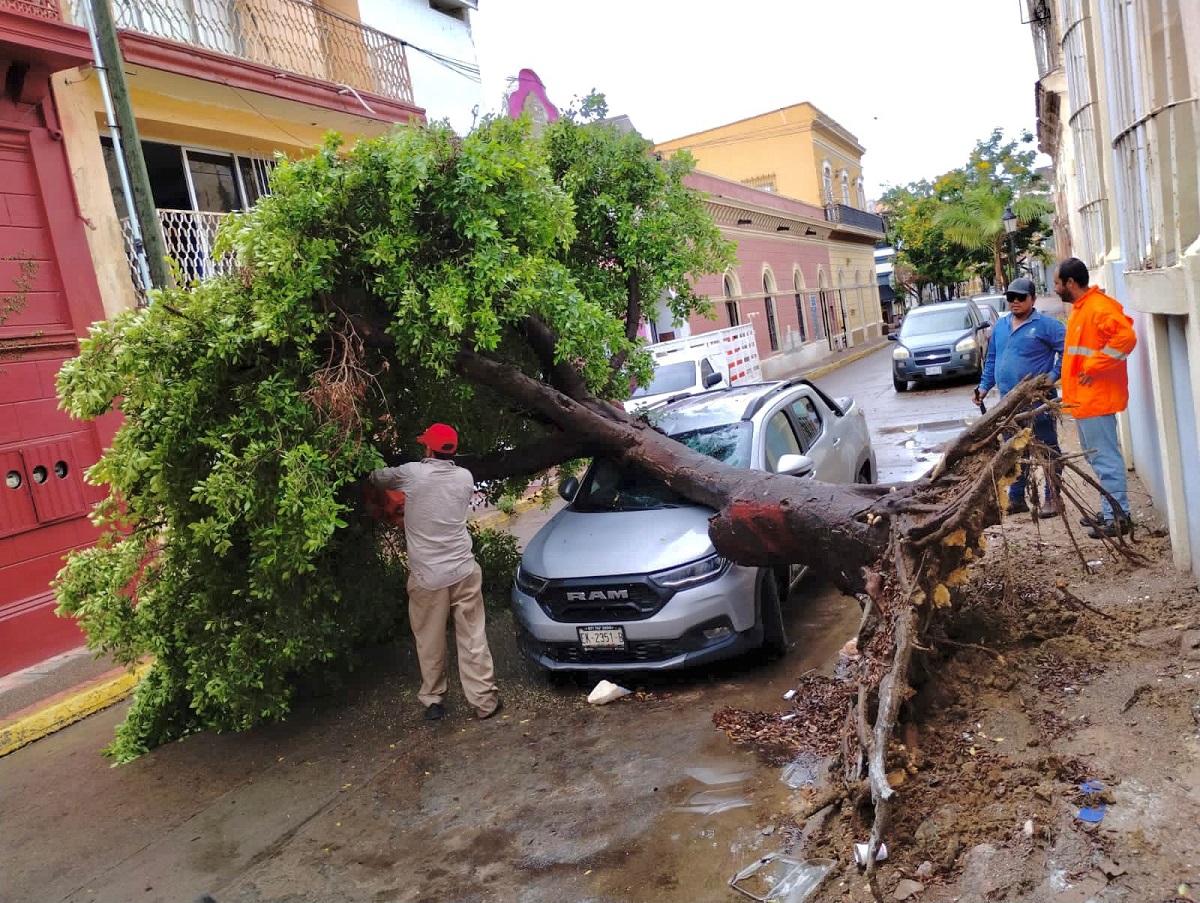 Carros arrastrados, árboles caídos y más: Protección Civil de Mazatlán da recuento de los daños por lluvia