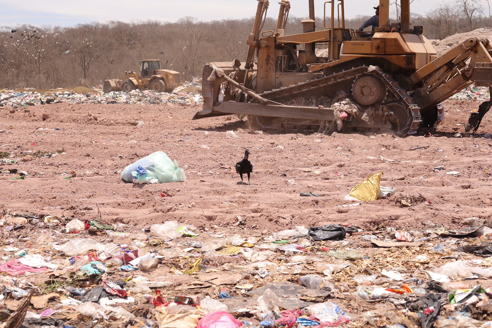 La contaminación del suelo y los mantos freáticos; un ejemplo del daño que ha causado el basurón de Mazatlán