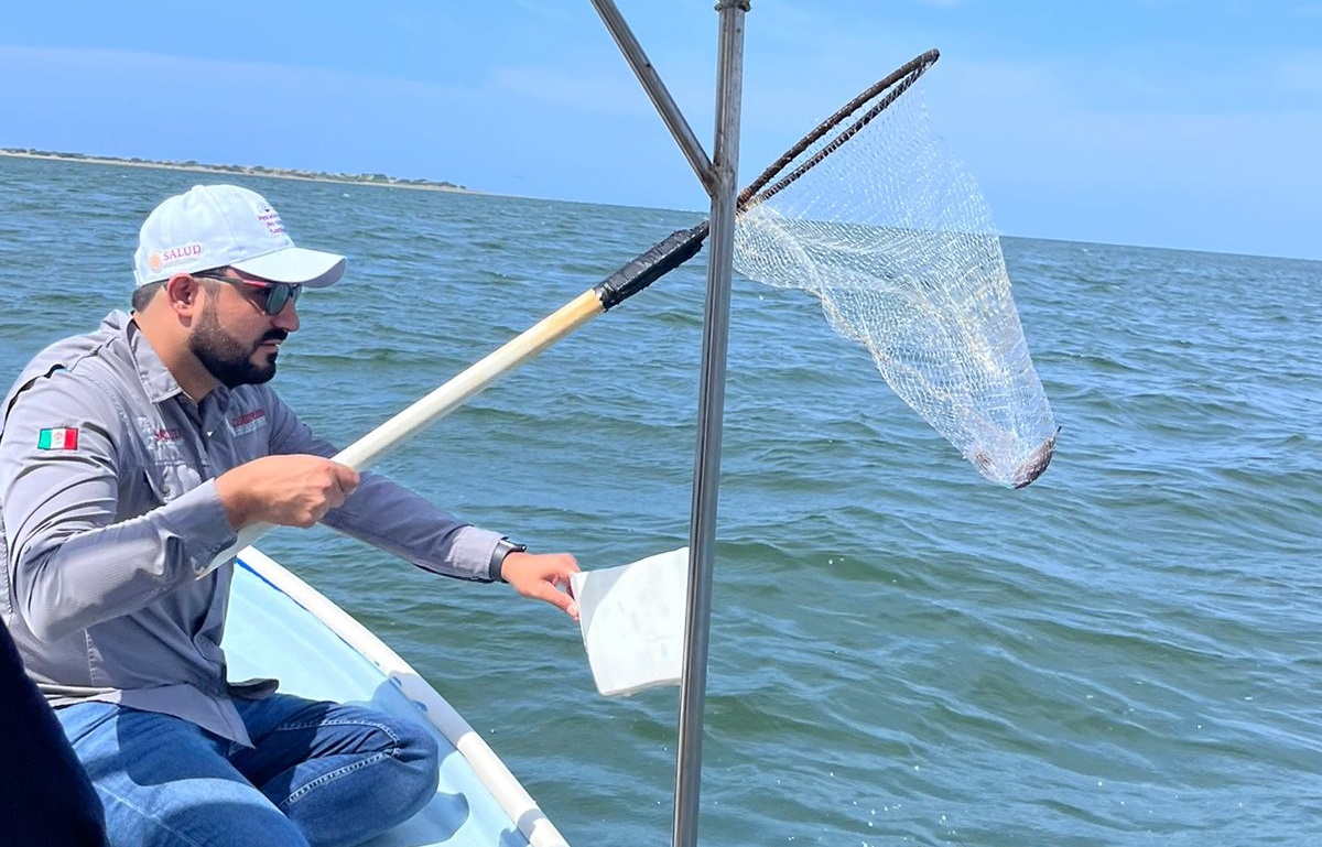 Por mortandad de peces, Coepriss realiza análisis químicos para descartar presencia de marea roja en El Maviri