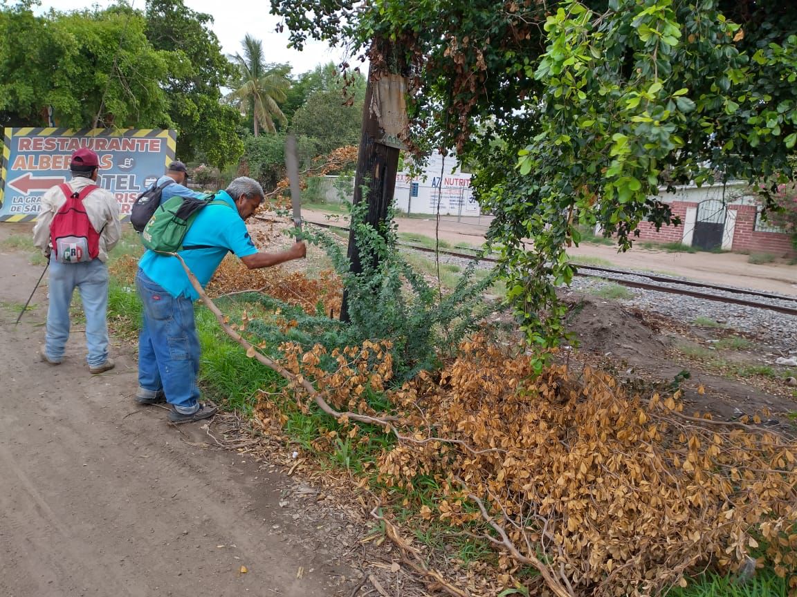 Arranca Margoth Urrea programa de embellecimiento de la carretera cuatro carriles desde San Pedro hasta Altata