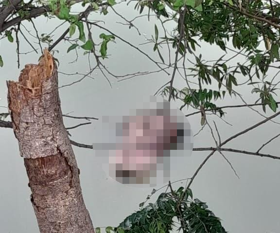 Flotando y semidesnudo encuentran el cuerpo de una persona por El Campestre en Mazatlán