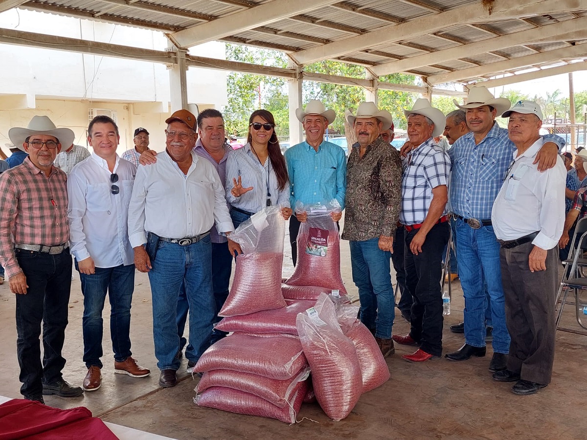 Entregan autoridades semilla a ganaderos ahomenses para la recuperación de praderas