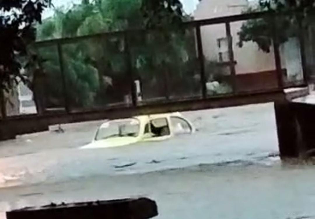‘Cosa nunca vista, hasta un bocho se trajo el arroyo’; vecinos atestiguaron el insólito hecho en colonia de Mazatlán