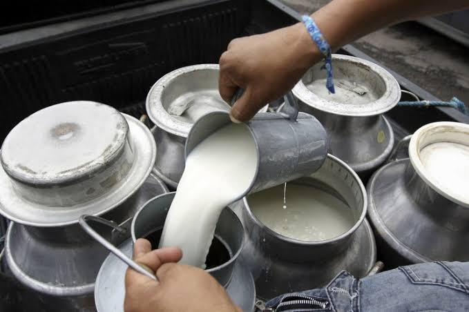 ¡Por fin! Cuenca lechera de Mazatlán tendrá sus represas para aprovechar el agua y cubrir al ganado