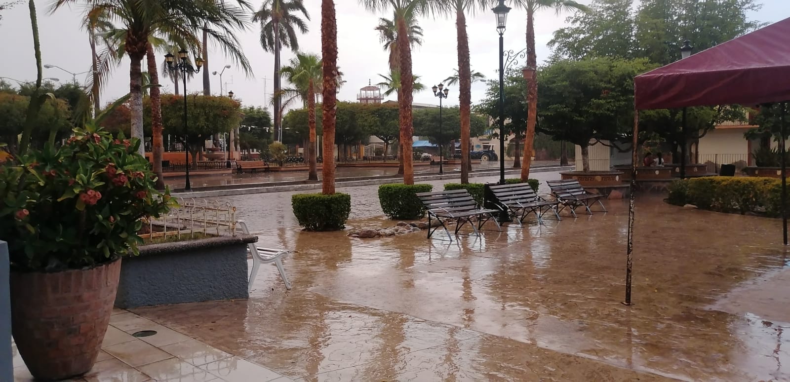 Lluvia en Choix es una bendición como llegar a la gloria, se acaba la sequía y se reactiva economía: Secretario