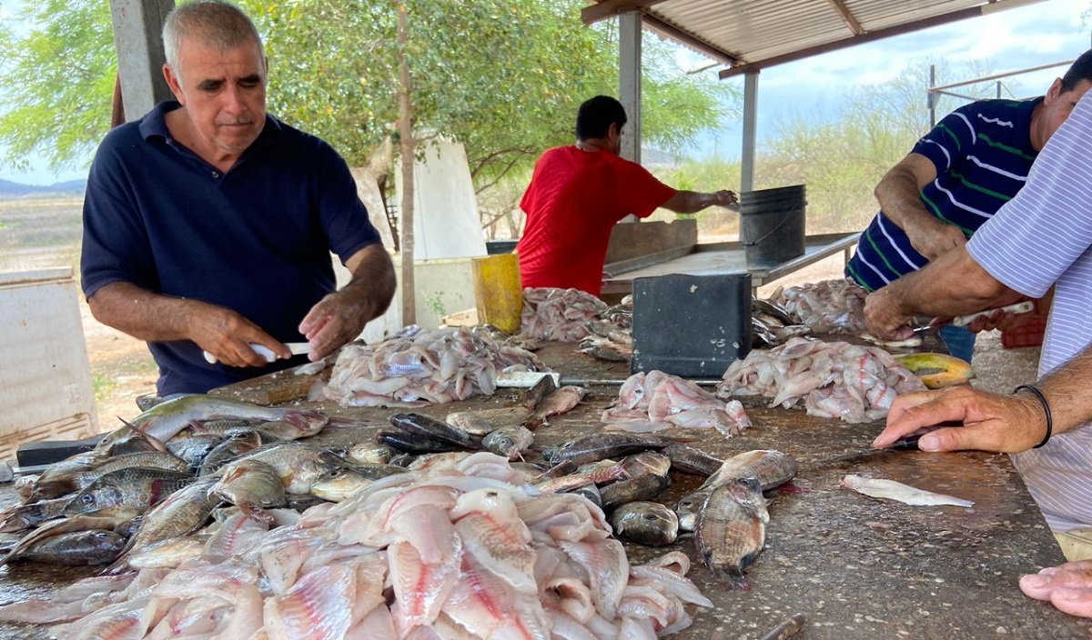La presa Eustaquio Buelna está seca, la pueden cruzar caminando, pescadores optan por vedarse