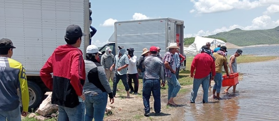 Se mantiene la vigilancia en las presas de El Fuerte, el periodo de veda quedó estipulado del 01 de julio al 15 agosto