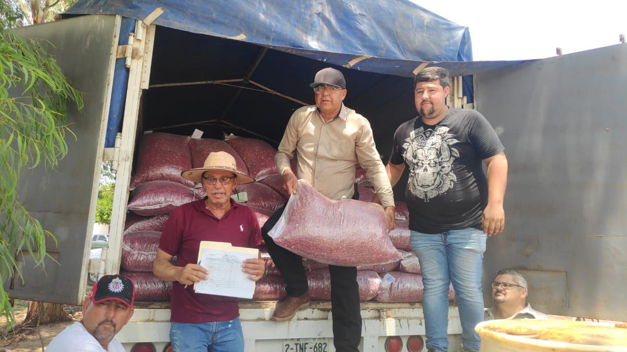 En Angostura, productores de cacahuate reciben apoyo de semilla