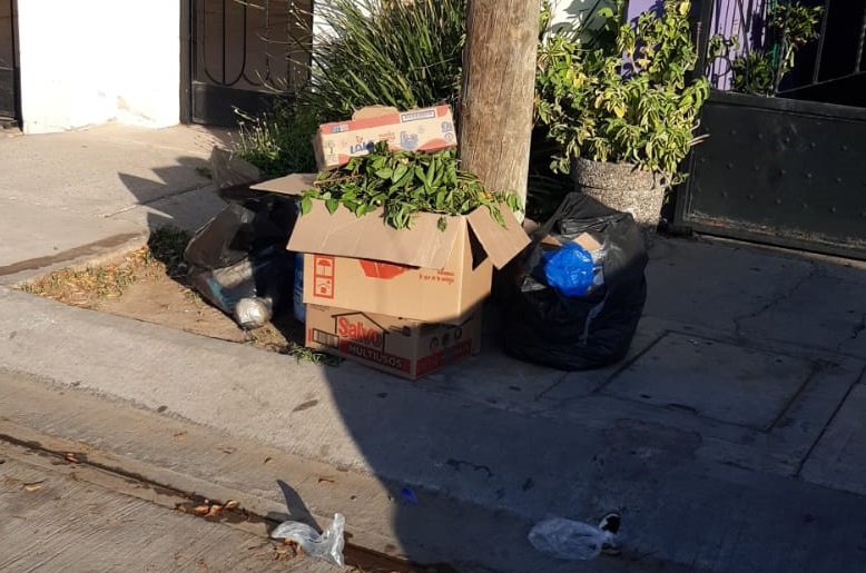 Imploran vecinos del fraccionamiento Santa Rosa a OP Ecología regulen la recolección de basura los martes