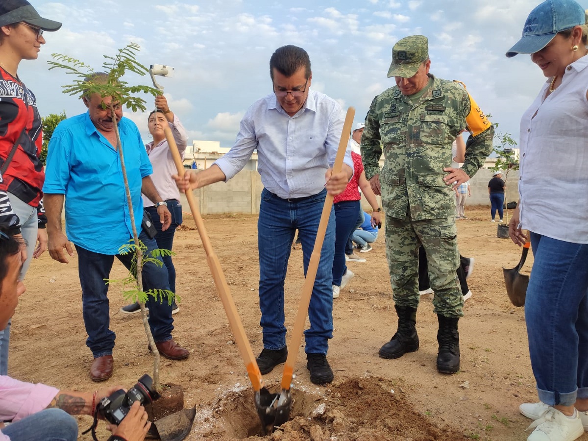 ¡Enhorabuena! Darán más pulmones a Mazatlán con 400 reforestaciones en distintos espacios