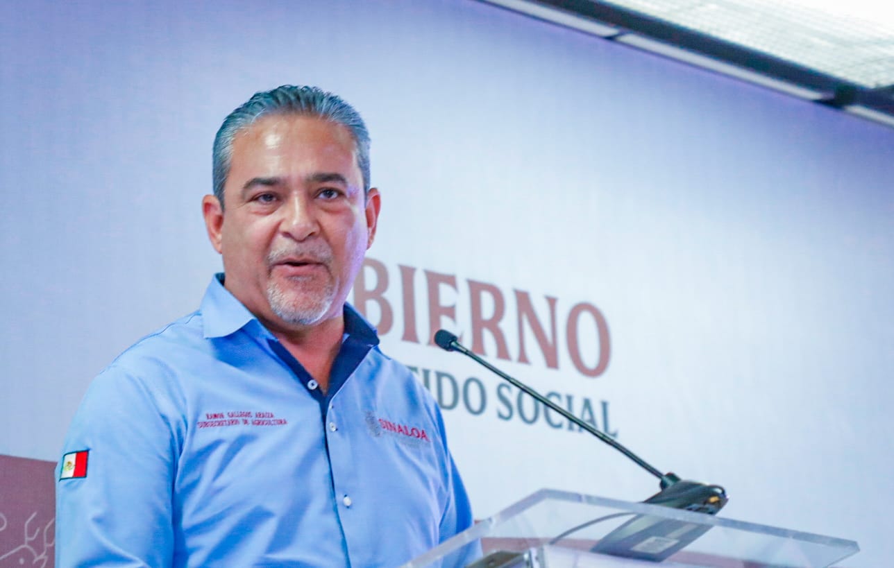 Se busca que Segalmex apresure procesos para que trigueros reciban su dinero: Ramón Gallegos
