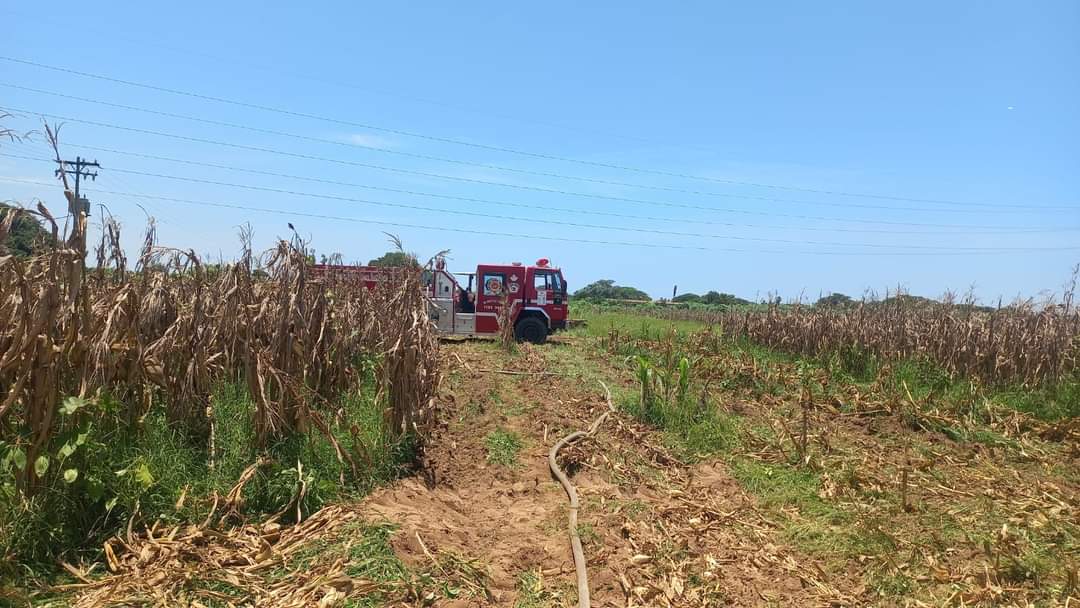 Se incendia trilladora en pleno campo de cultivo en El Pozole, en Villa Unión