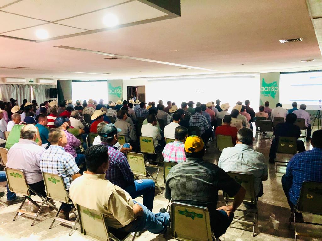 ¿Qué viene para los mercados de maíz y trigo? La Aarsp facilita conferencia