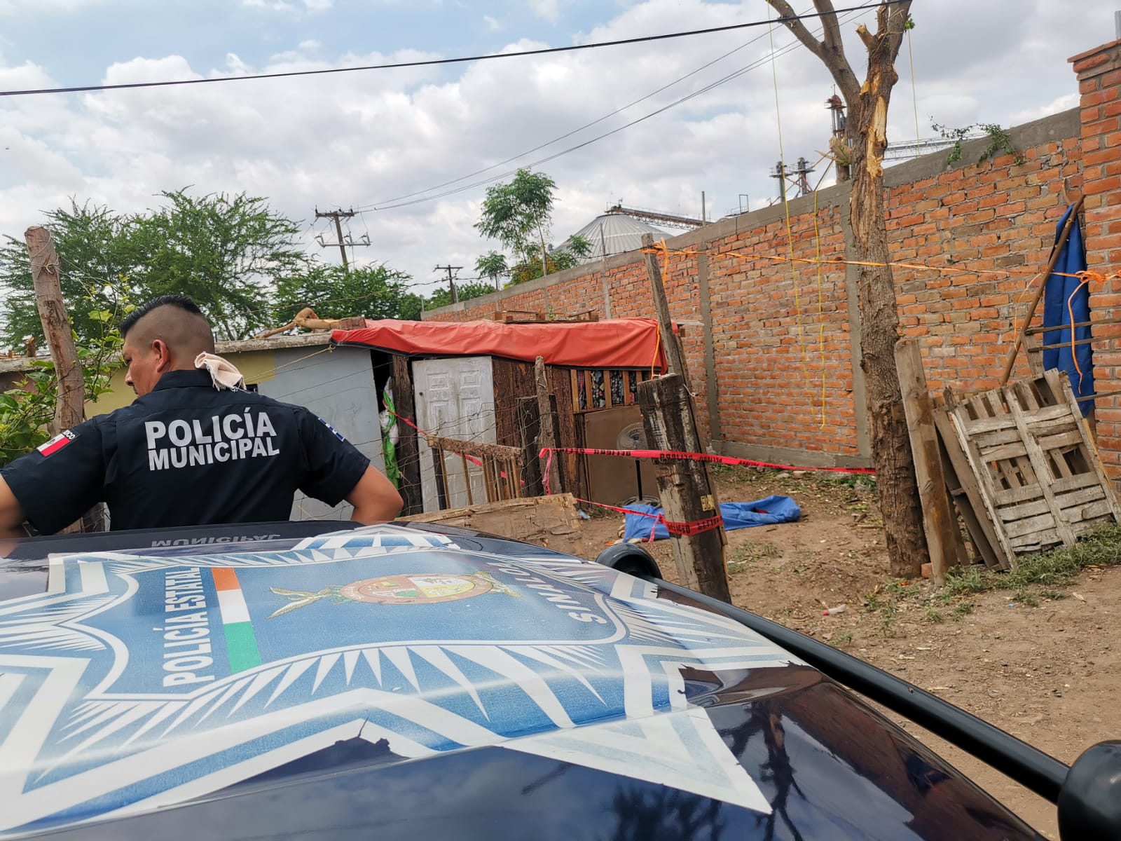 Adulto mayor pierde la vida cuando se encontraba podando un árbol en la colonia ‘El Chorizo’ en Ahome