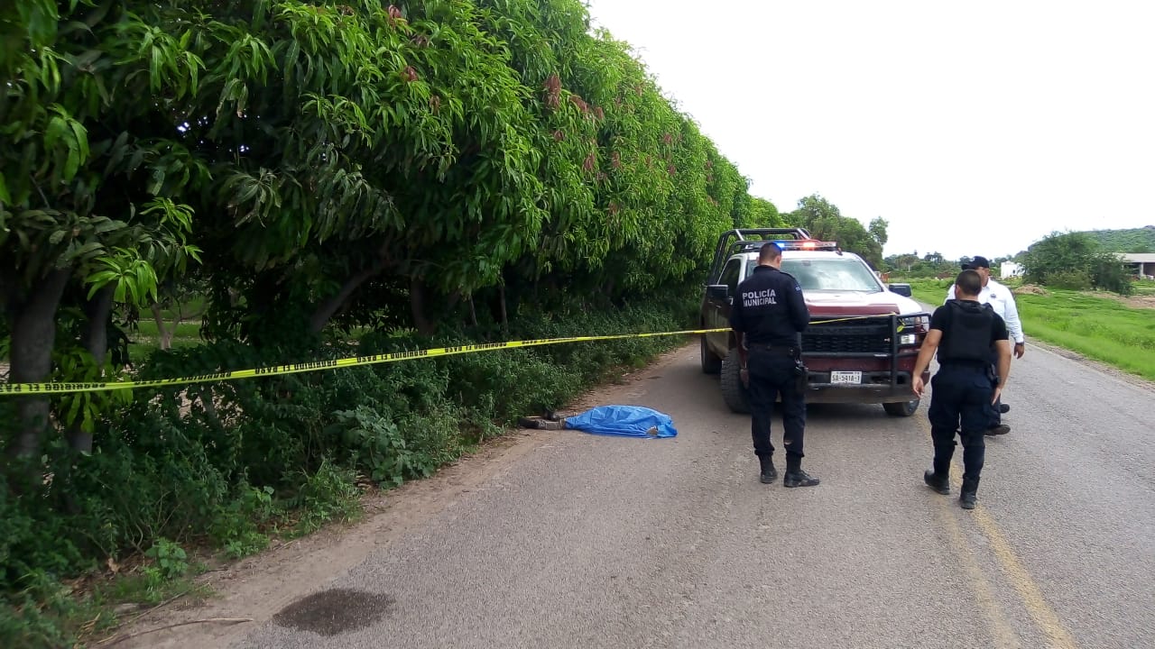 Adulto mayor pierde la vida luego de ser atacado por abejas en Higuera de Zaragoza, Ahome