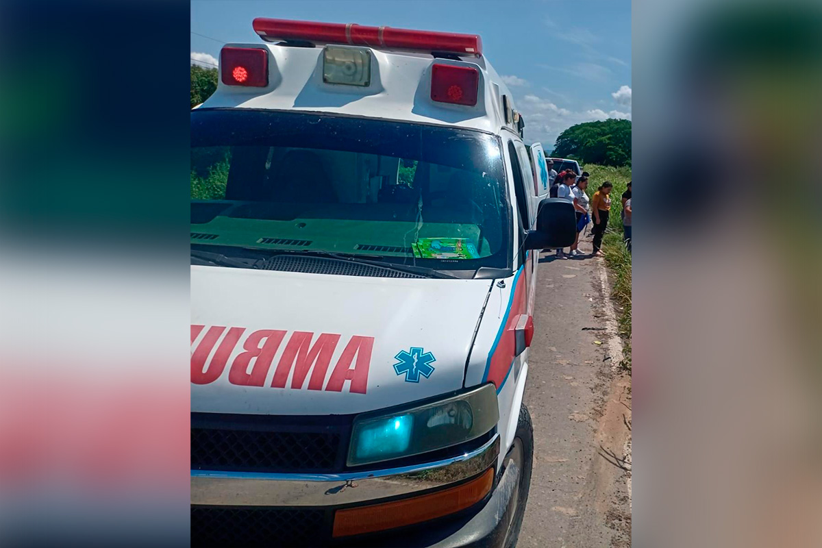 Un joven de Los Pozos, Rosario falleció al ser atacado por abejas