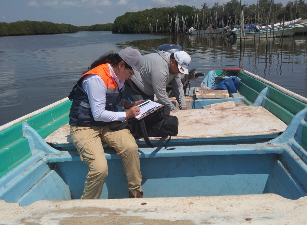 Coepriss levanta veda sanitaria en la Bahía de Altata, en Navolato