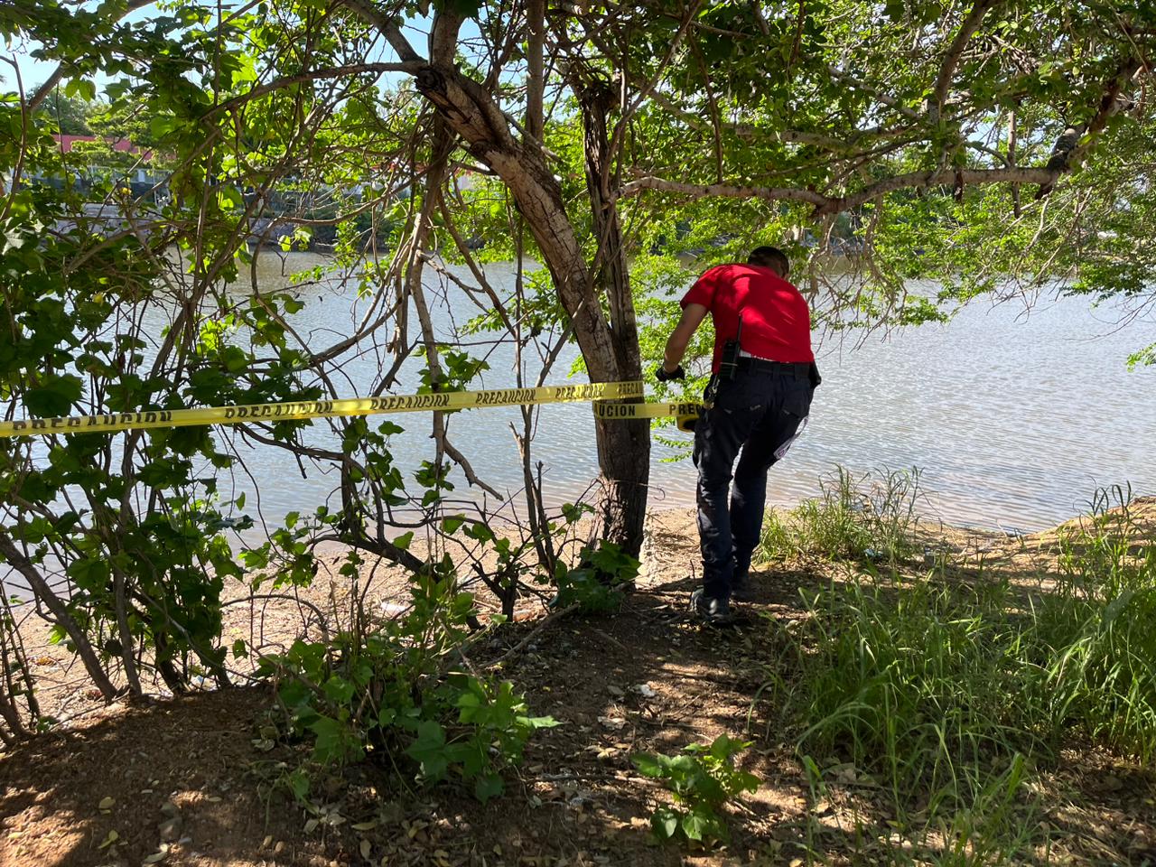 Delimitan el Estero del Yugo en Mazatlán por avistamiento de dos cocodrilos