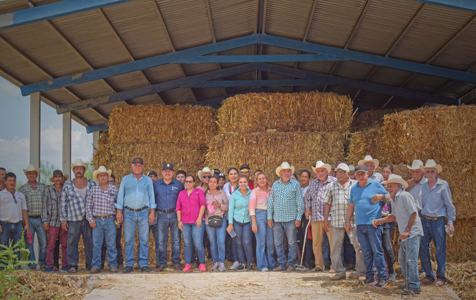 Ganaderos de El Fuerte reciben apoyo de pacas de maíz
