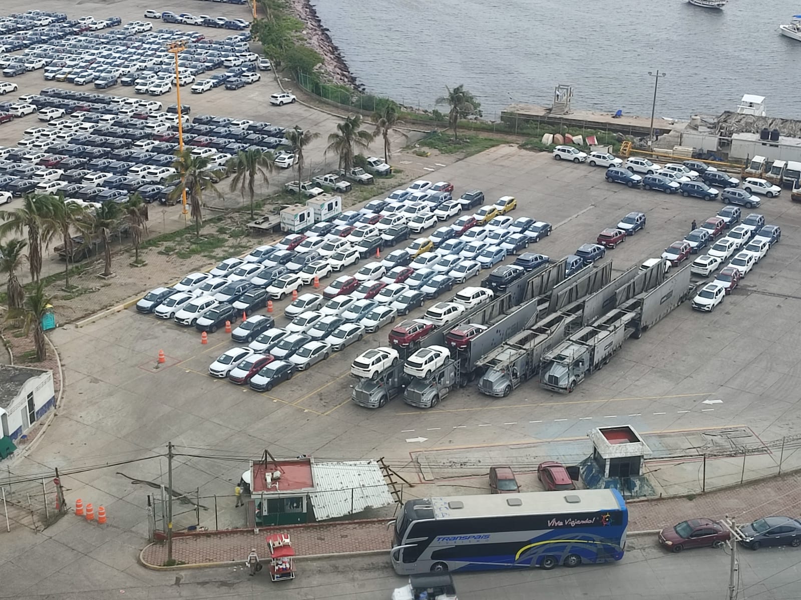 Recibe Mazatlán entre 16 y 17 mil carros mensuales en buques procedentes de China y Japón: Asipona