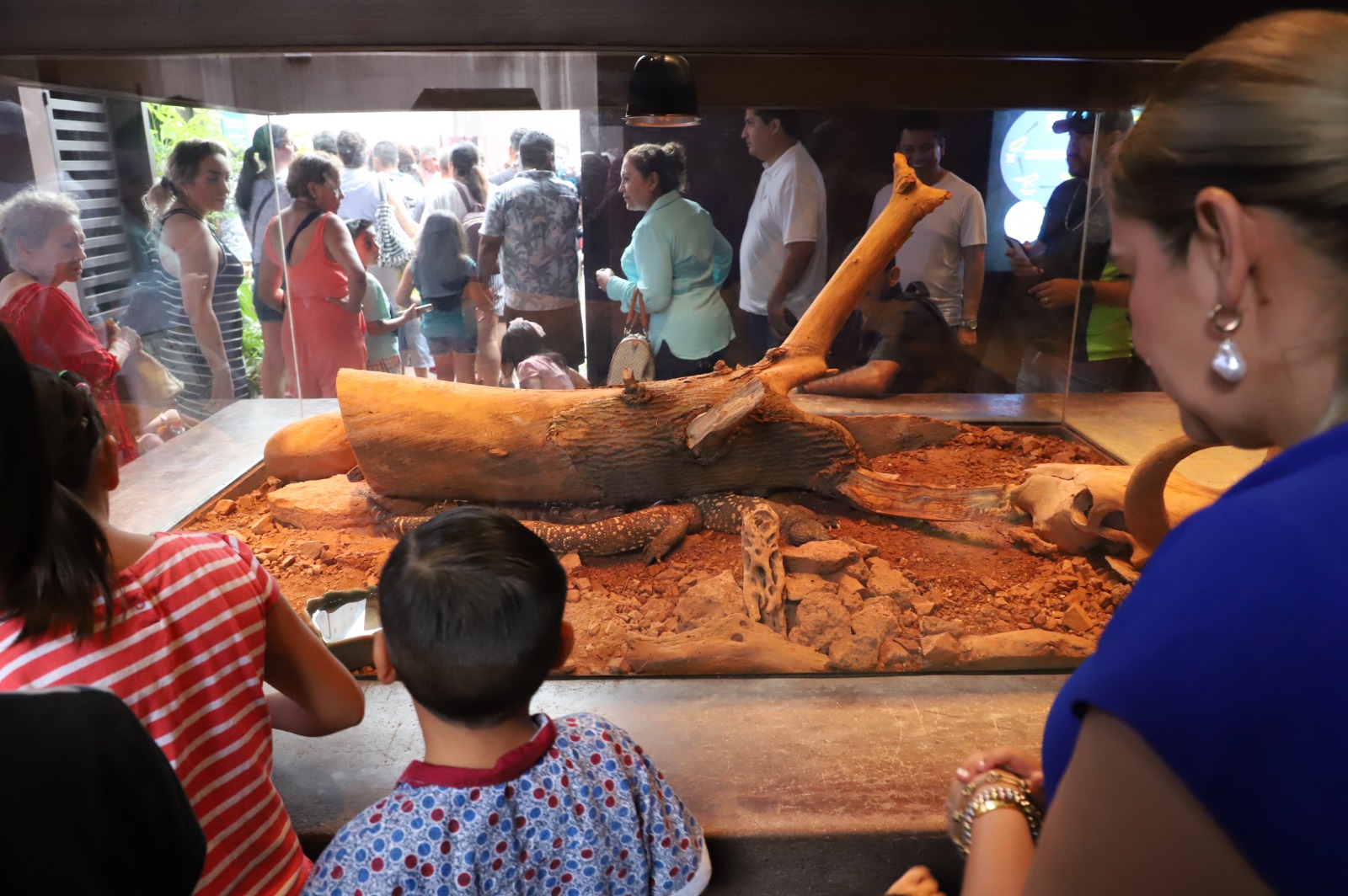 Niñas y niños del albergue ‘Mi Ángel de la Guarda’ visitan el Gran Acuario ‘Mar de Cortés’