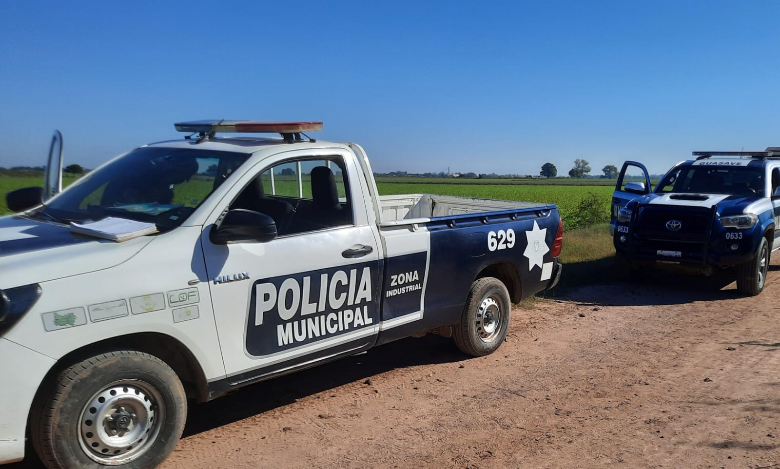 Sujetos armados roban agroquímicos en un campo agrícola en Guasave