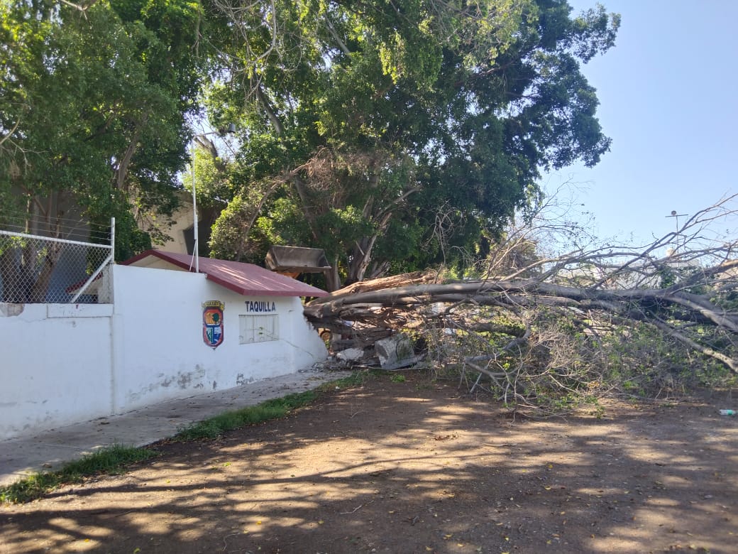 Por daños en la infraestructura demuelen acceso principal del Guasave 89