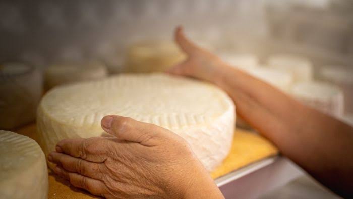 Atenderá la Coepriss a queseros y ganaderos del sur ante inquietud de productos desleales
