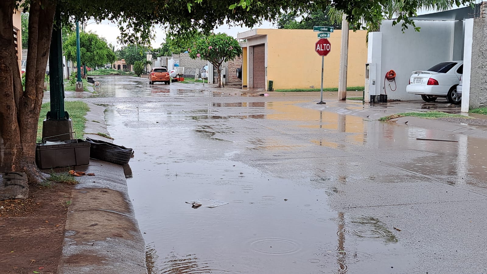 Tarde de lluvia en Guasave; entre tierra y rayos vecinos reportan fallas de CFE