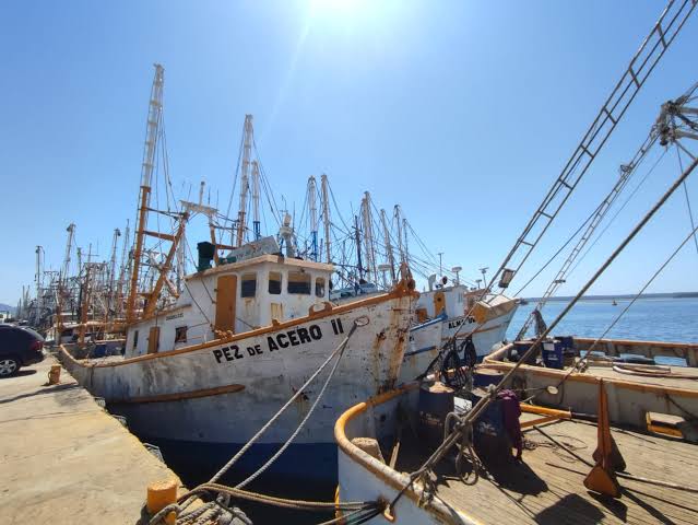 ‘Inoperantes para la temporada de camarón 2023-2024’, reclaman armadores a AMLO por precios al diésel marino