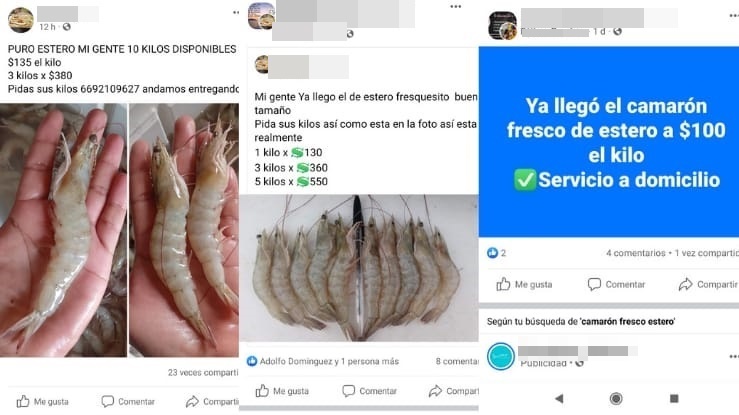 ¡Fresco y del estero! Venden camarón ilegal en Facebook en Mazatlán y Escuinapa antes del levantamiento de la veda