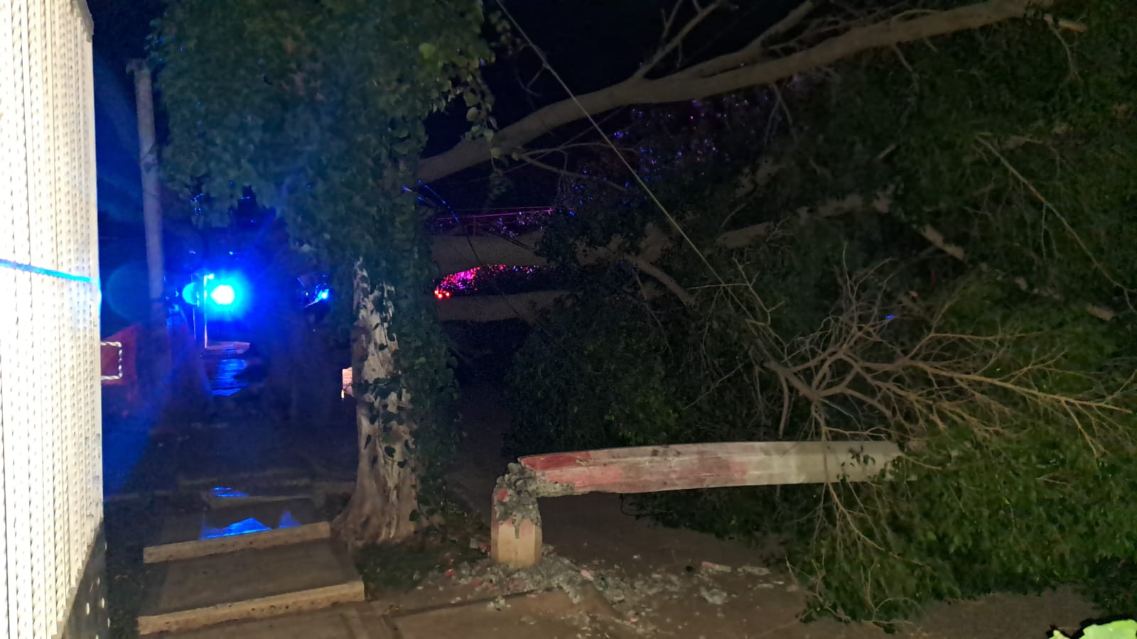 Vientos con racha de 40 kilómetros azotan a Los Mochis, derriba decenas de árboles y cableado eléctrico: PC