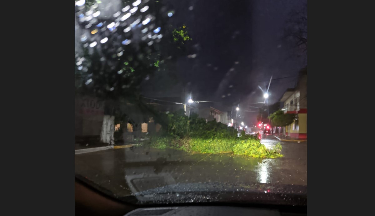 Tormenta sorprende a guasavenses; reportan sectores sin energía eléctrica y árboles caídos