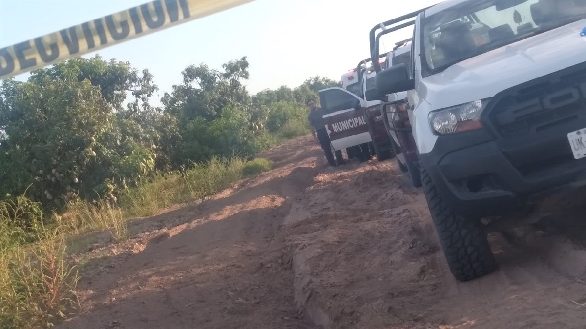 Localizan a joven sin vida en huerta de mangos en La Guamuchilera, Ahome
