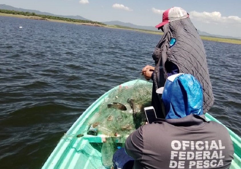 Dirección de Pesca mantiene operativos de vigilancia y programa de repoblación en presas de El Fuerte