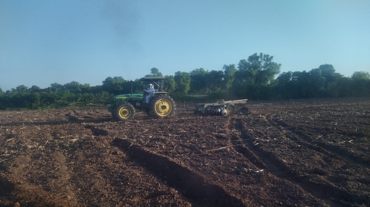 Ataque de abejas en el río San José de Ahome deja tres personas lesionadas