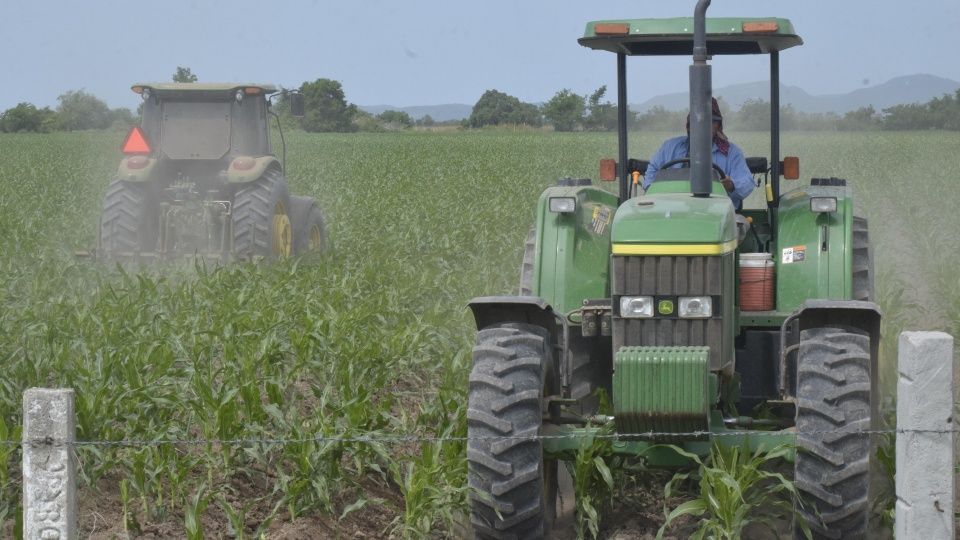 Decepciona a agricultores presupuesto federal con el nulo apoyo para el sector del campo