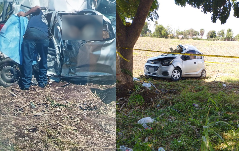 Automovilista muere al impactarse contra un árbol sobre la carretera Navolato-Altata