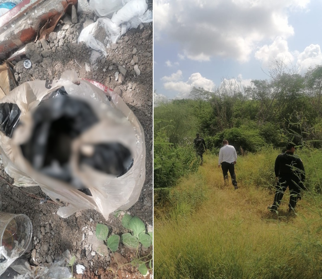 Bebé encontrado sin vida en una bolsa en Culiacán, murió a causa de complicaciones en el parto: Tere Guerra 
