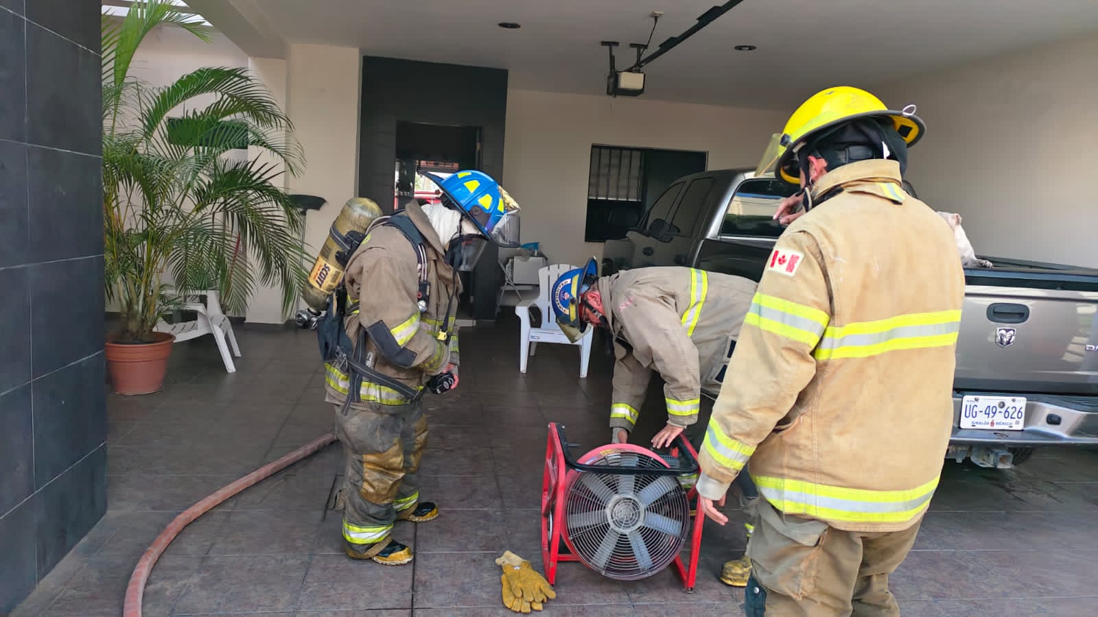 Bomberos ponen a salvó a dos perros pug tras conato de incendio en Mazatlán