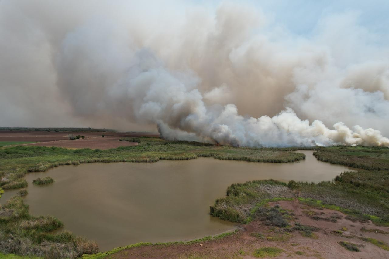 Fuego consume más de 3 hectáreas de terreno en un predio ubicada en Chinitos, Angostura
